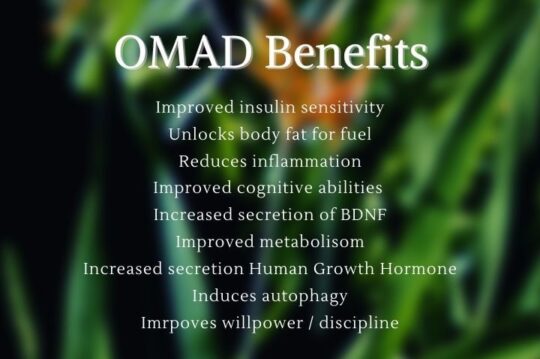 OMAD Benefits