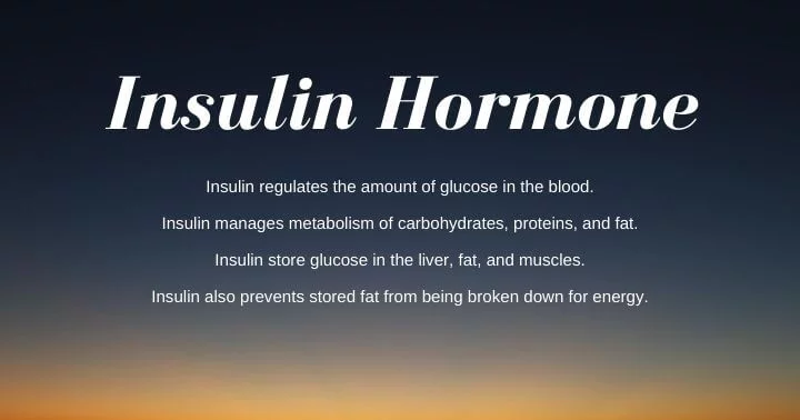 Insulin Hormone